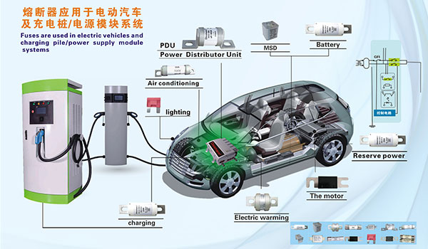 電動(dòng)汽車資源網(wǎng)記者 采訪德?tīng)栯娮覥EO楊光